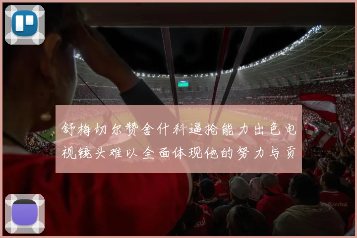 舒梅切尔赞舍什科逼抢能力出色电视镜头难以全面体现他的努力与贡献
